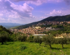 Imu agricola, tutto quello che c’è da sapere per gli agricoltori siciliani